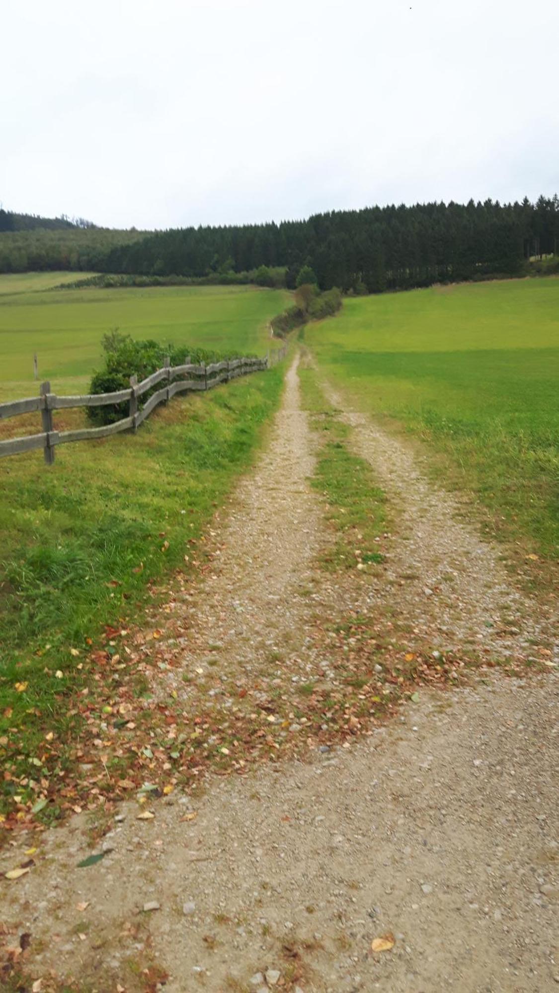 Landhaus Im Grund Lennestadt Esterno foto