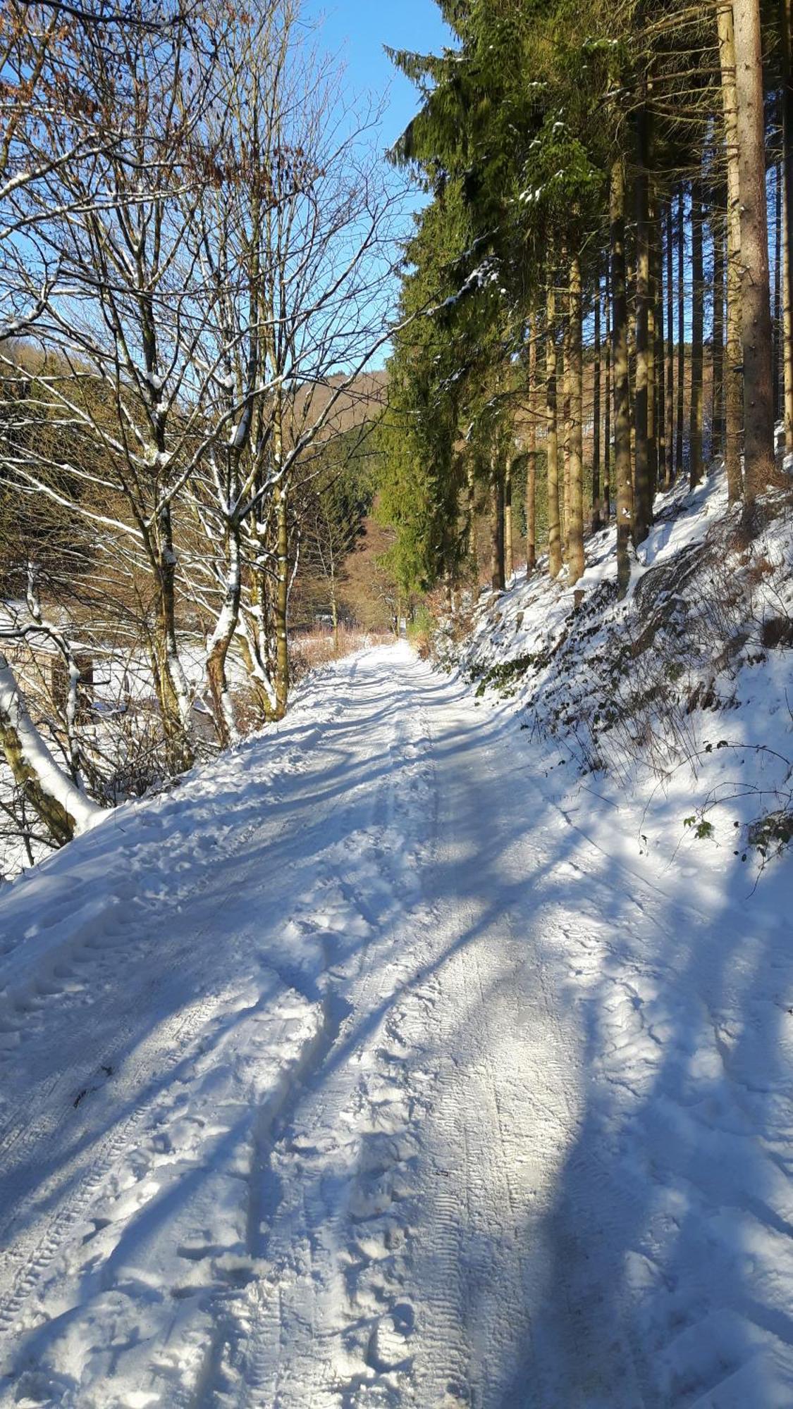 Landhaus Im Grund Lennestadt Esterno foto